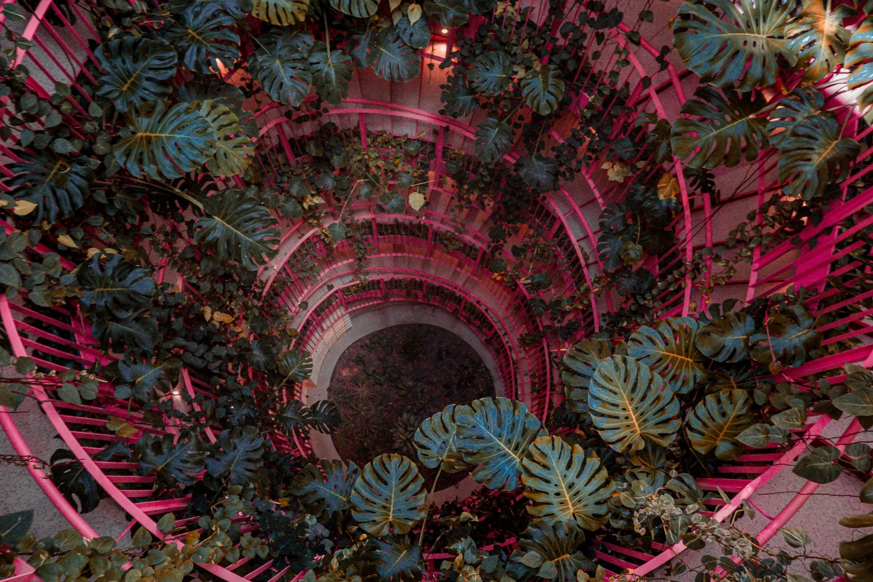 A pink spiral staircase winding through dense tropical plants
